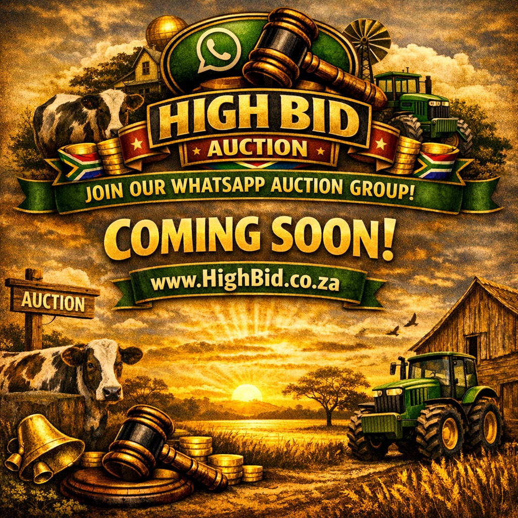 High Bid Coming Soon